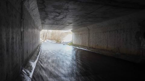 Drain You - DSC00003.JPG