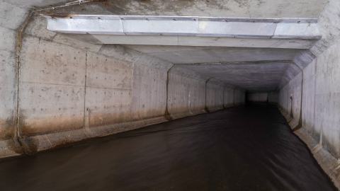 Drain You - DSC00006.JPG