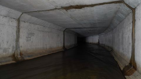 Drain You - DSC00007.JPG