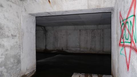 Drain You - DSC00021.JPG