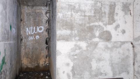 Drain You - DSC00022.JPG