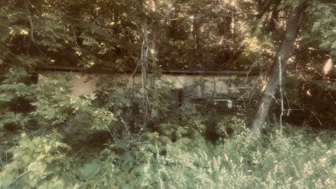 Coopers Falls Quickie - IMG_6901.jpeg