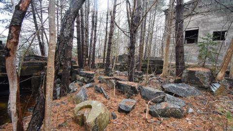 Photo from Salter Falls Mill Ruins