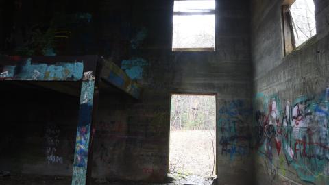 Salter Falls Mill Ruins - ADS_0158.JPG