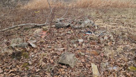 Photo from Old London Boy Scouts Camp
