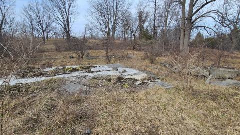Old office/bathroom & rubble