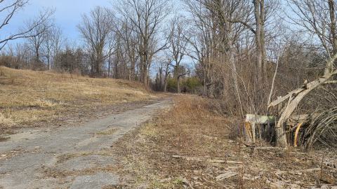 Road in from Clarke Road