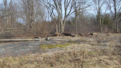 Cement pad by entrance