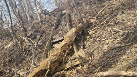 Photo from Old London Boy Scouts Camp