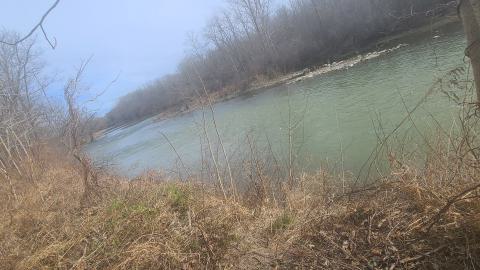 The river