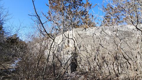 Portland cement factory plant 1