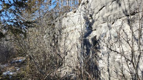 Point Anne 2024 - 20240225_131645.jpg