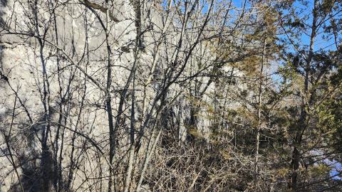 Point Anne 2024 - 20240225_131648.jpg