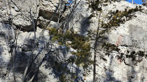 Point Anne 2024 - 20240225_131721.jpg