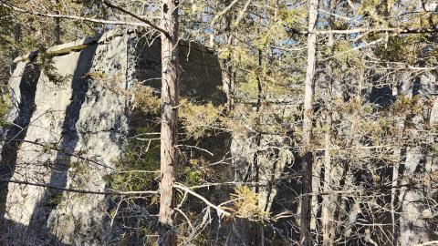 Point Anne 2024 - 20240225_130959.jpg