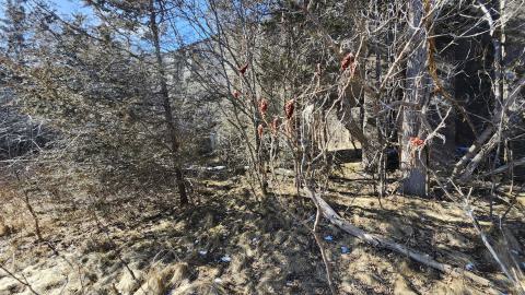 Photo from Point Anne 2024