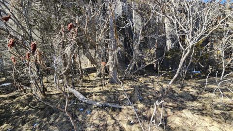 Photo from Point Anne 2024