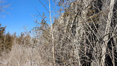 Photo from Point Anne 2024