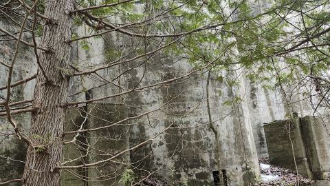 Marlbank 2024 - 20240302_141212.jpg