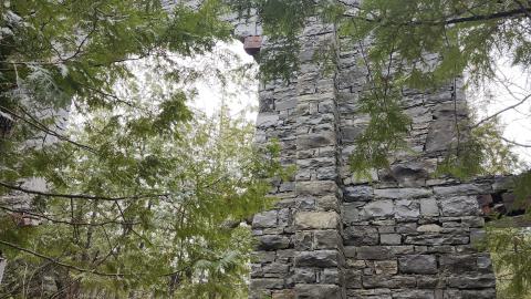 Photo from Marlbank 2024