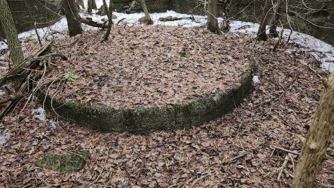 Marlbank 2024 - 20240302_140647.jpg