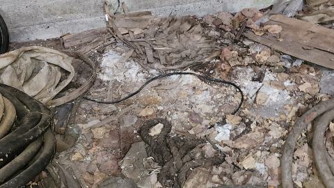 Marlbank 2024 - 20240302_135035.jpg