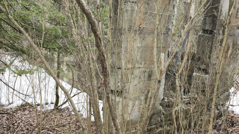 Marlbank 2024 - 20240302_134603.jpg