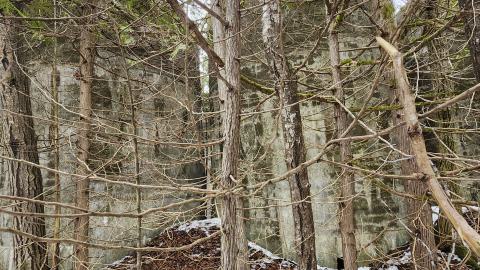 Marlbank 2024 - 20240302_131828.jpg