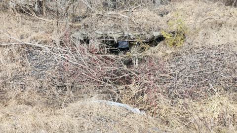 Marlbank 2024 - 20240302_143046.jpg