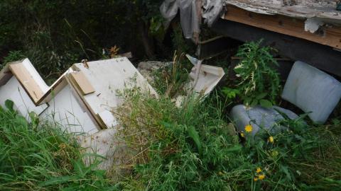 09/05/23 - 2023_0905_10365921.jpg