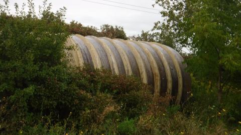 09/05/23 - 2023_0905_10364269.jpg