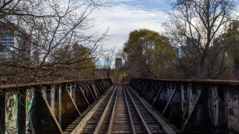 Photo from I Walk The Line