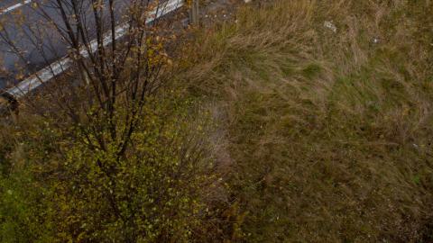 I Walk The Line - IMG_5066.JPG