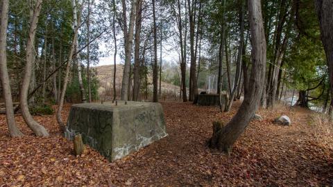 3 in 1 Shampoo - IMG_5071.JPG