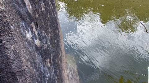 3 in 1 Shampoo - IMG_5072.JPG