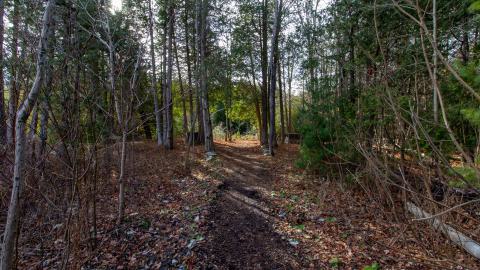 3 in 1 Shampoo - IMG_5074.JPG