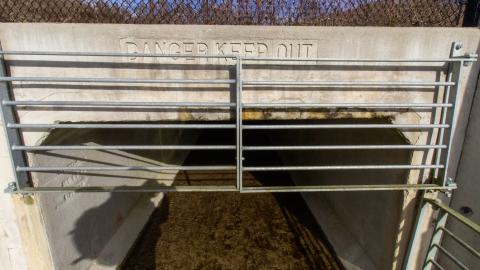 3 in 1 Shampoo - IMG_5075.JPG