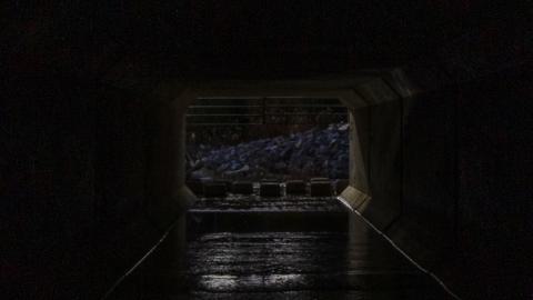 3 in 1 Shampoo - IMG_5076.JPG