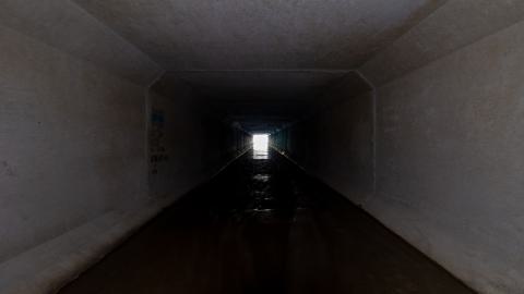 3 in 1 Shampoo - IMG_5077.JPG