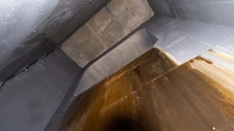 3 in 1 Shampoo - IMG_5078.JPG