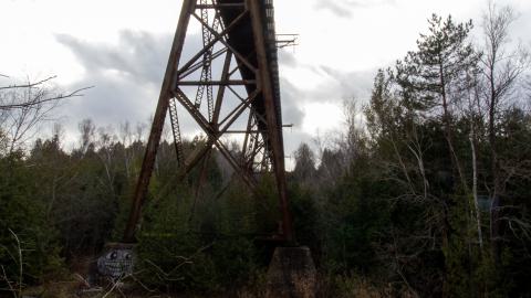 3 in 1 Shampoo - IMG_5080.JPG