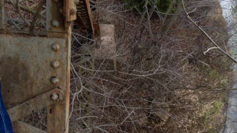 3 in 1 Shampoo - IMG_5083.JPG