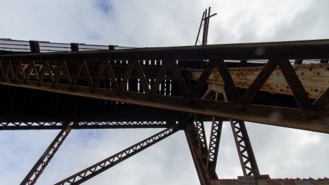 3 in 1 Shampoo - IMG_5093.JPG