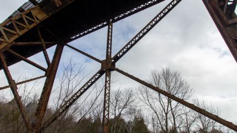 3 in 1 Shampoo - IMG_5096.JPG