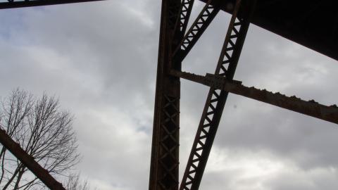 3 in 1 Shampoo - IMG_5097.JPG