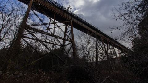 3 in 1 Shampoo - IMG_5098.JPG