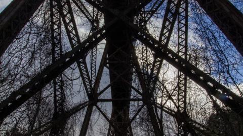 3 in 1 Shampoo - IMG_5099.JPG