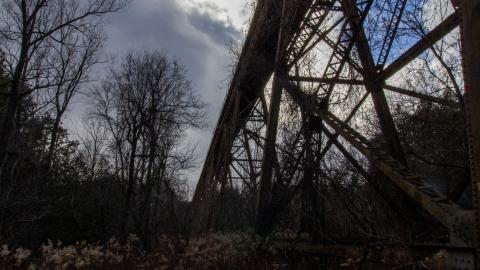 3 in 1 Shampoo - IMG_5100.JPG