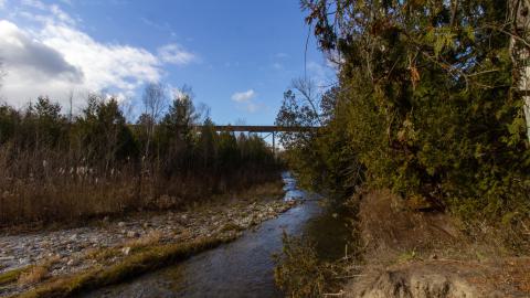 3 in 1 Shampoo - IMG_5101.JPG