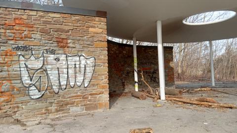 The top - IMG_20240312_171427166_HDR.jpg